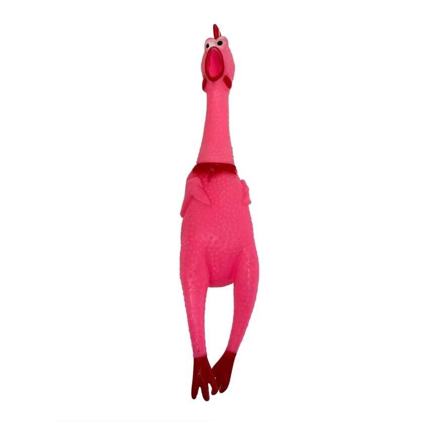 Pollo para mascota